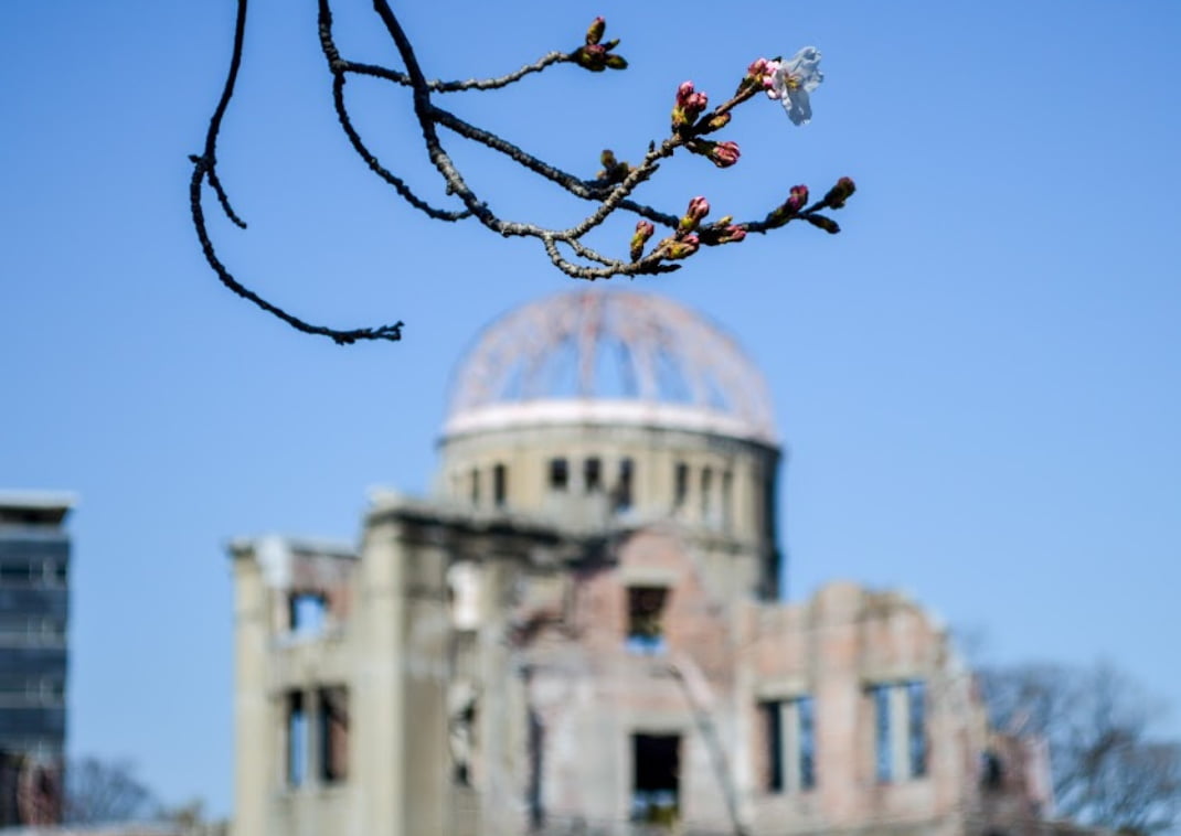 Le premier cerisier du parc du Mémorial de la paix et le dôme du genbaku derrière.