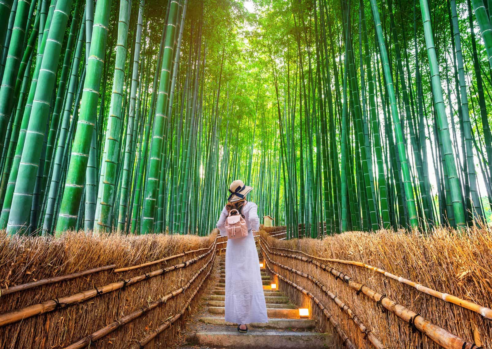 Femme-marchant-dans-la-forêt-de-bambous-d-Arashiyama-à-Kyoto-Japon