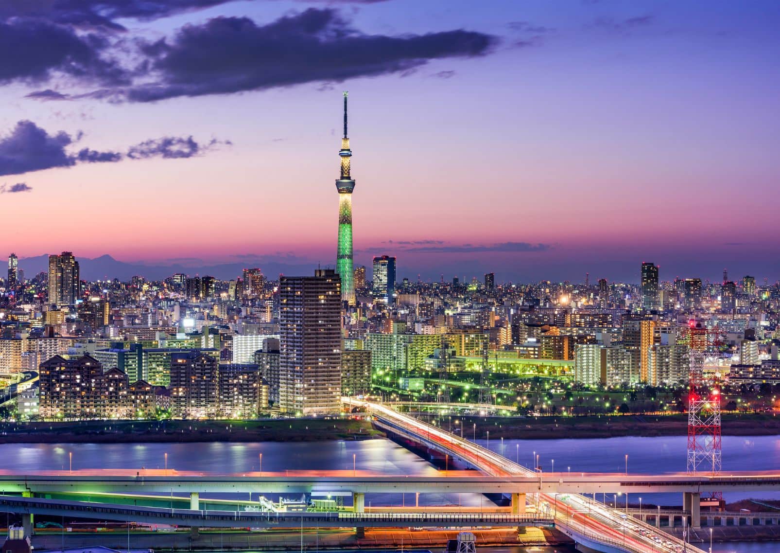 La skyline de Tokyo avec la tour Skytree, Japon