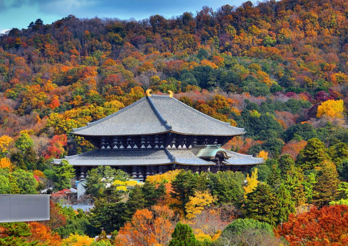 Toit du temple Todai-ji émergeant au-dessus des feuillages d’automne, Nara, Japon