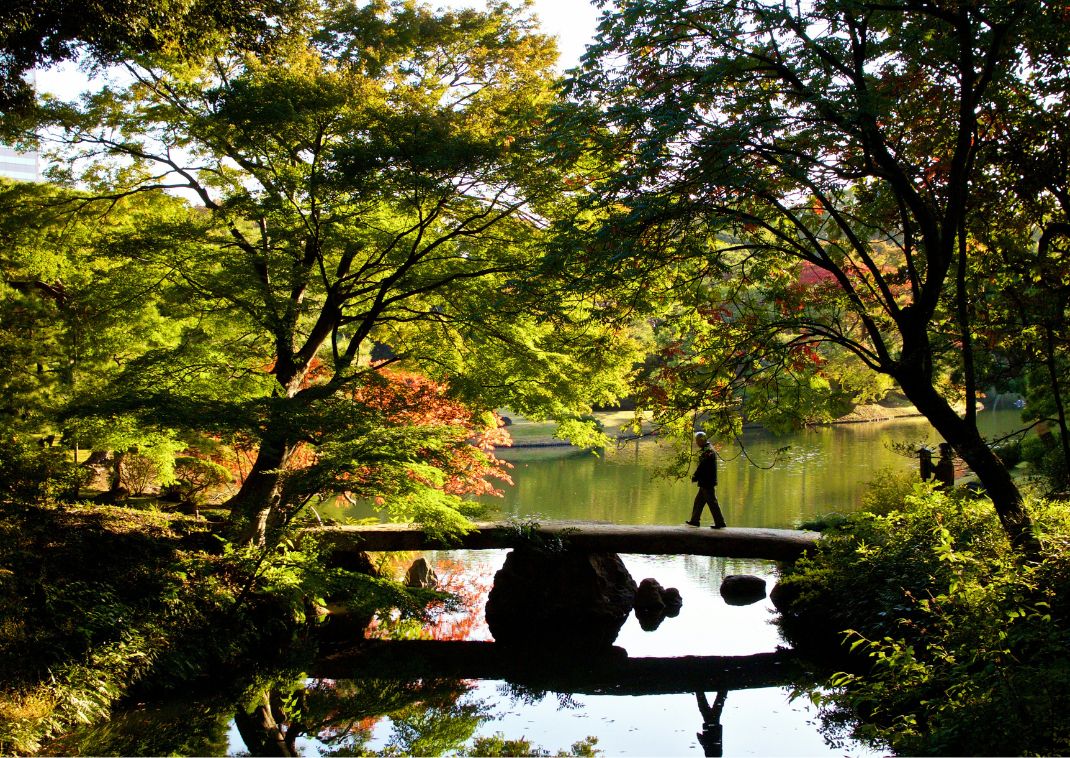Promenade sur un pont au-dessus d’un étang dans le jardin Rikugien à Tokyo