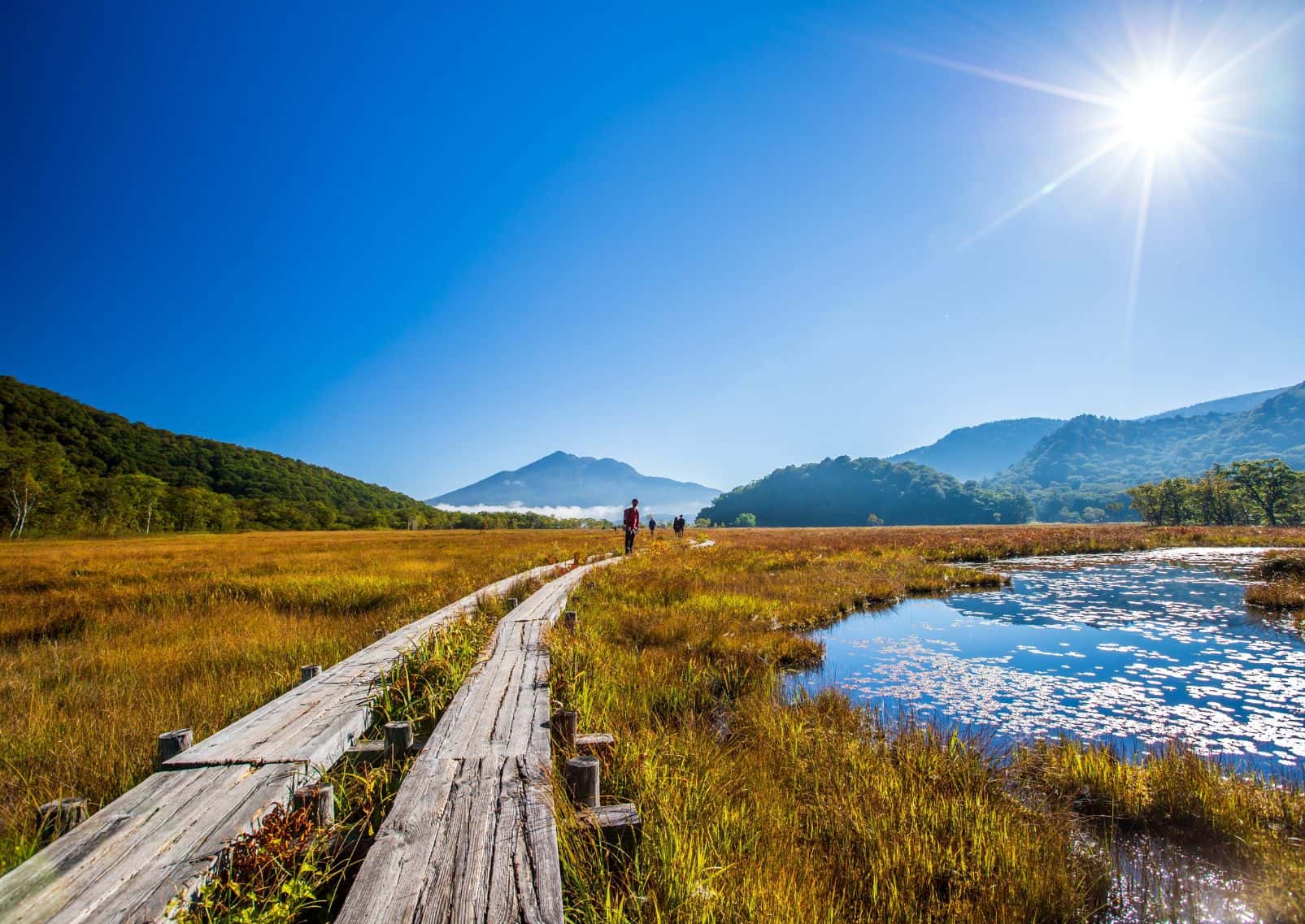 Paysage d’Ozegahara, préfecture de Gunma