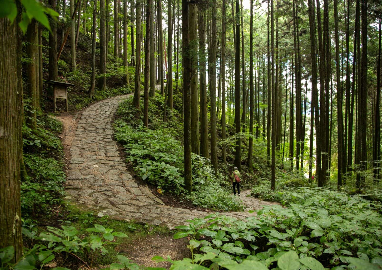 La route de Nakasendo dans la forêt, Japon