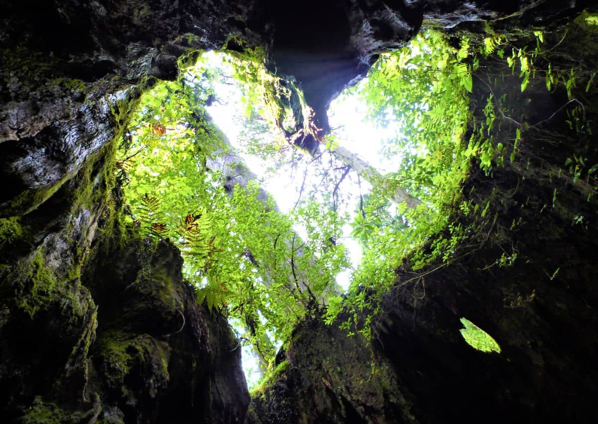 Caverne avec une ouverture en forme de cœur à Yakushima, Japon