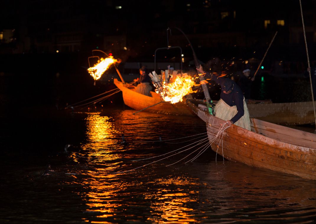 La pêche au cormoran au Japon