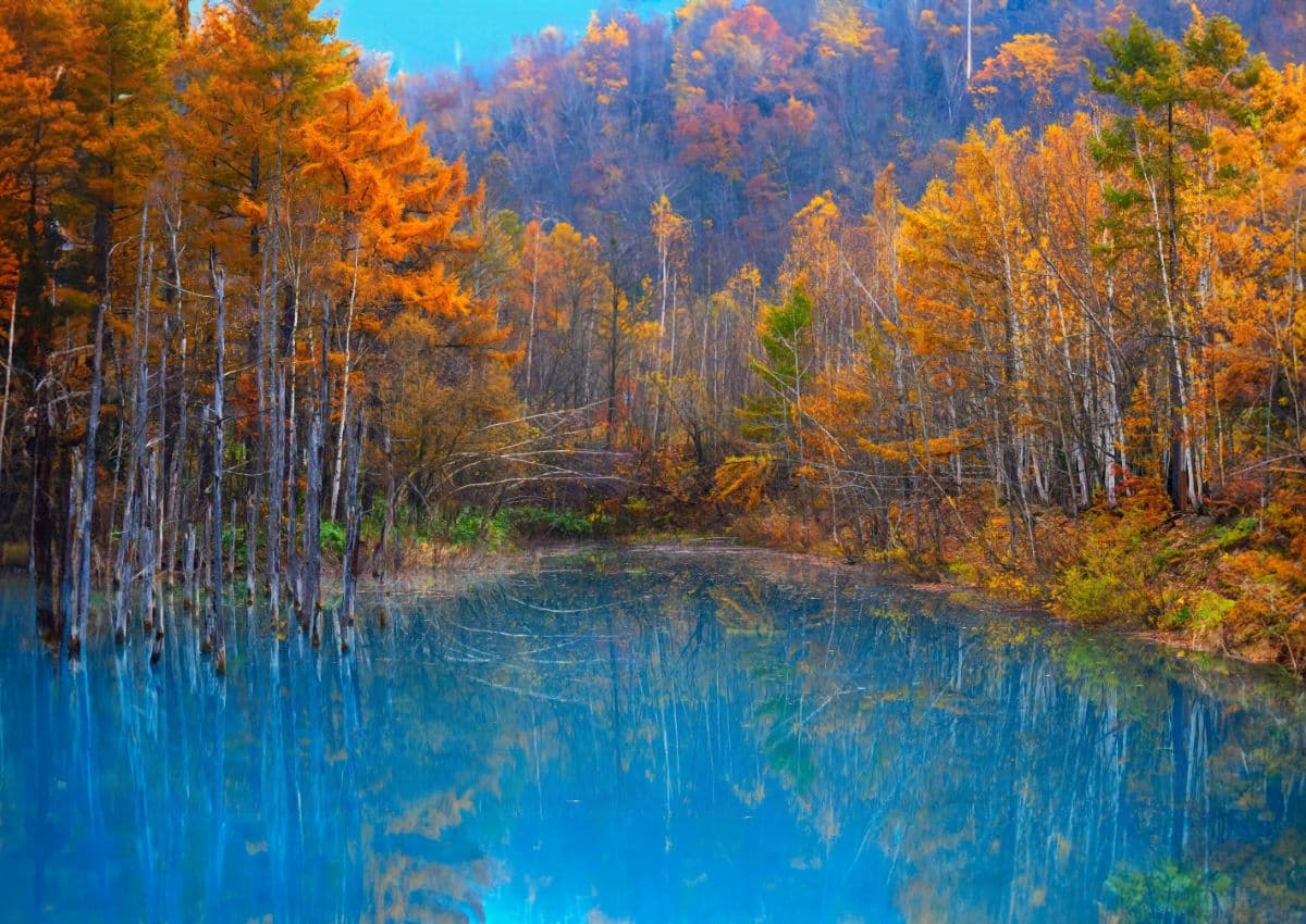 Feuillage d’automne à Hokkaido