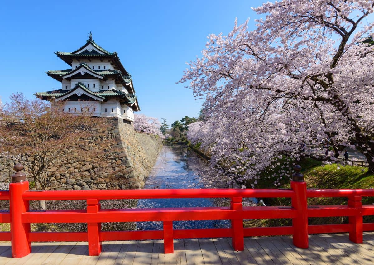 Le château d'Hirosaki pendant la saison des cerisiers en fleurs, Aomori, Japon