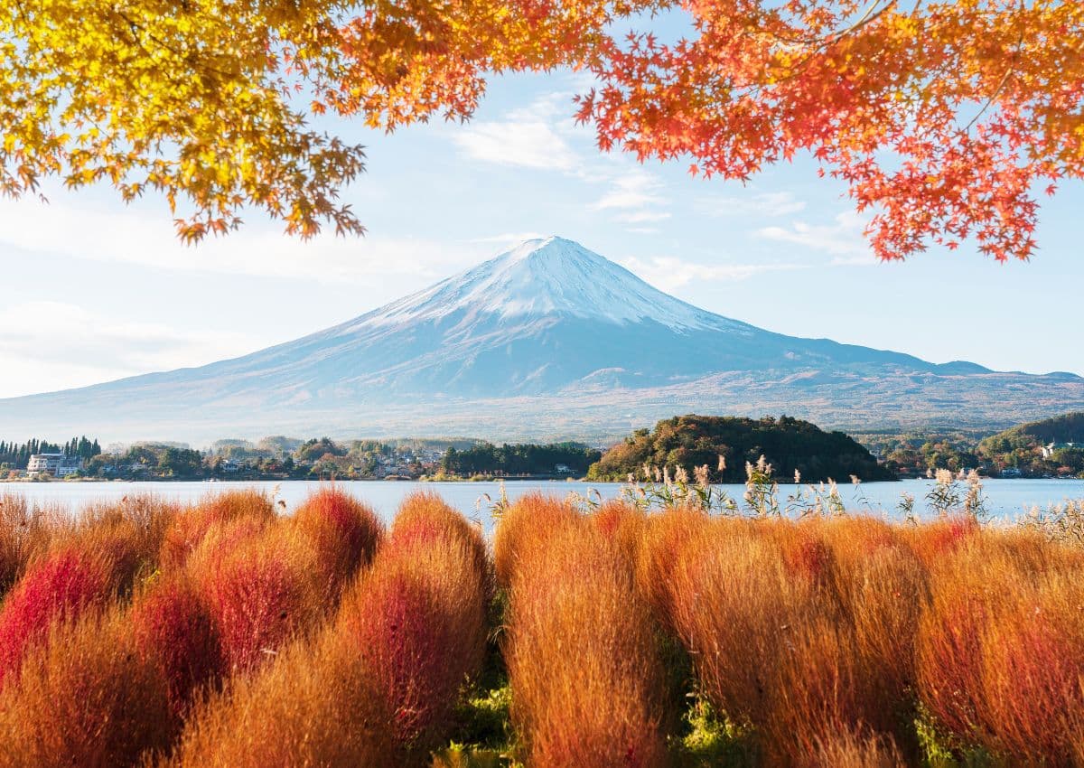 Feuillage d’automne autour du mont Fuji, Japon