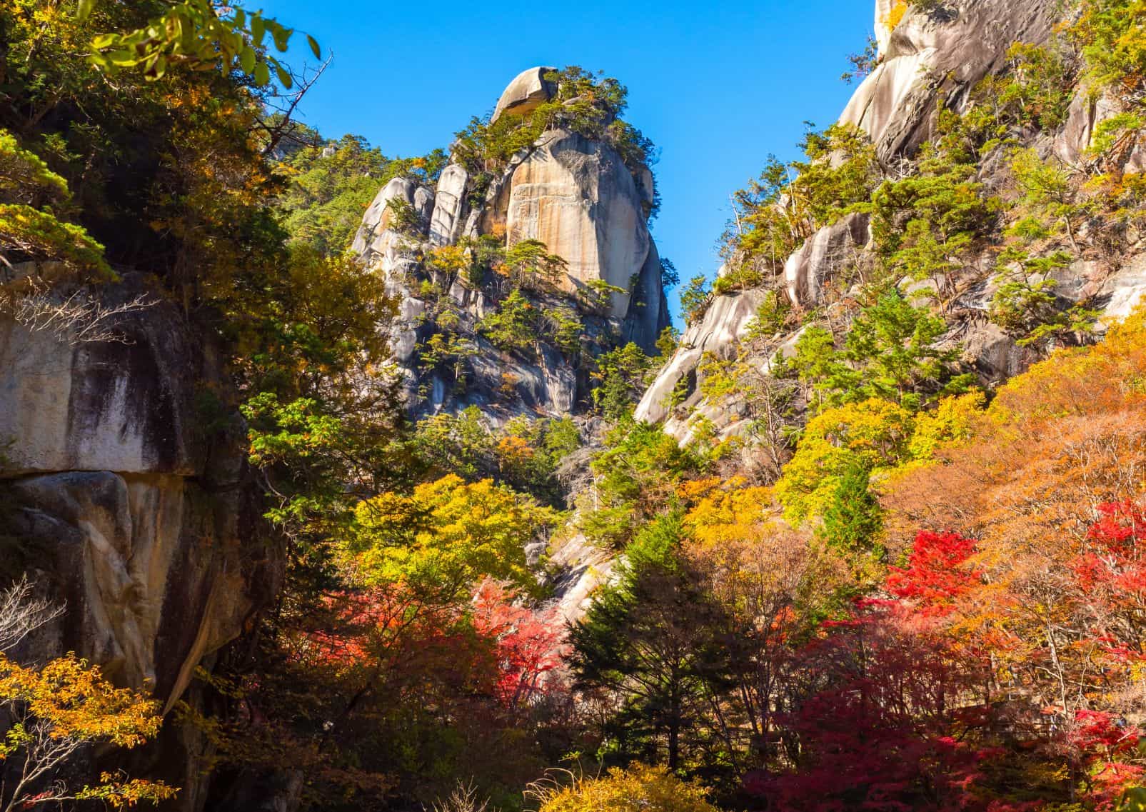 Canyon des gorges de Shosenkyo en automne, Japon