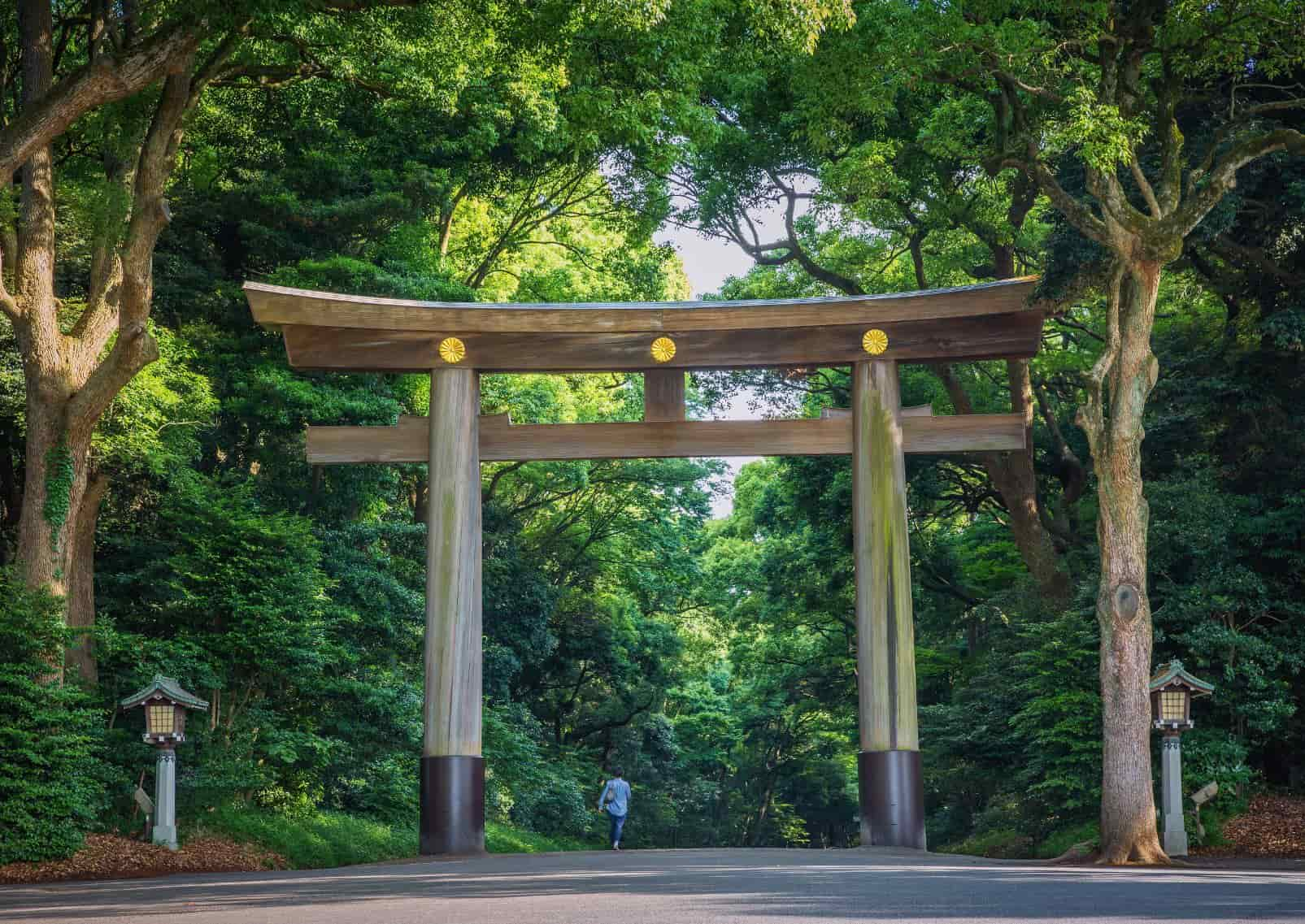  Sanctuaire-Meiji-jingu-Tokyo