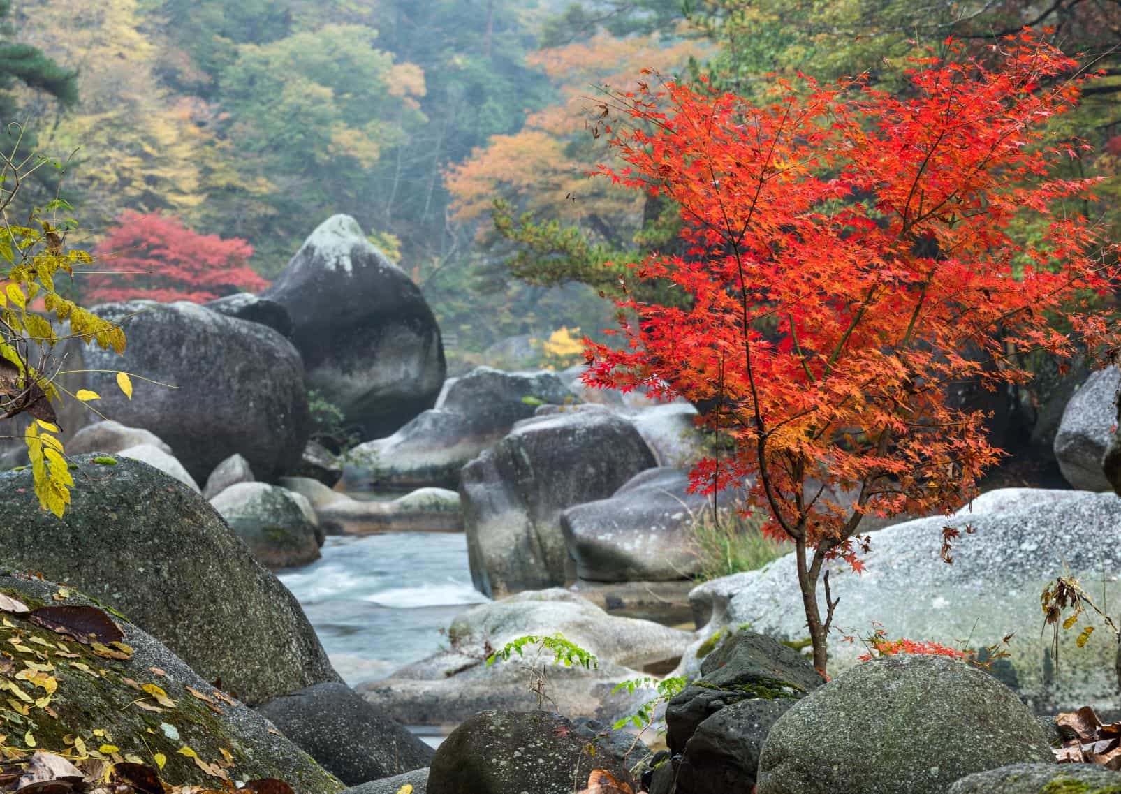 Vallée des gorges de Shosenkyo en automne, Kofu, préfecture de Yamanashi, Japon