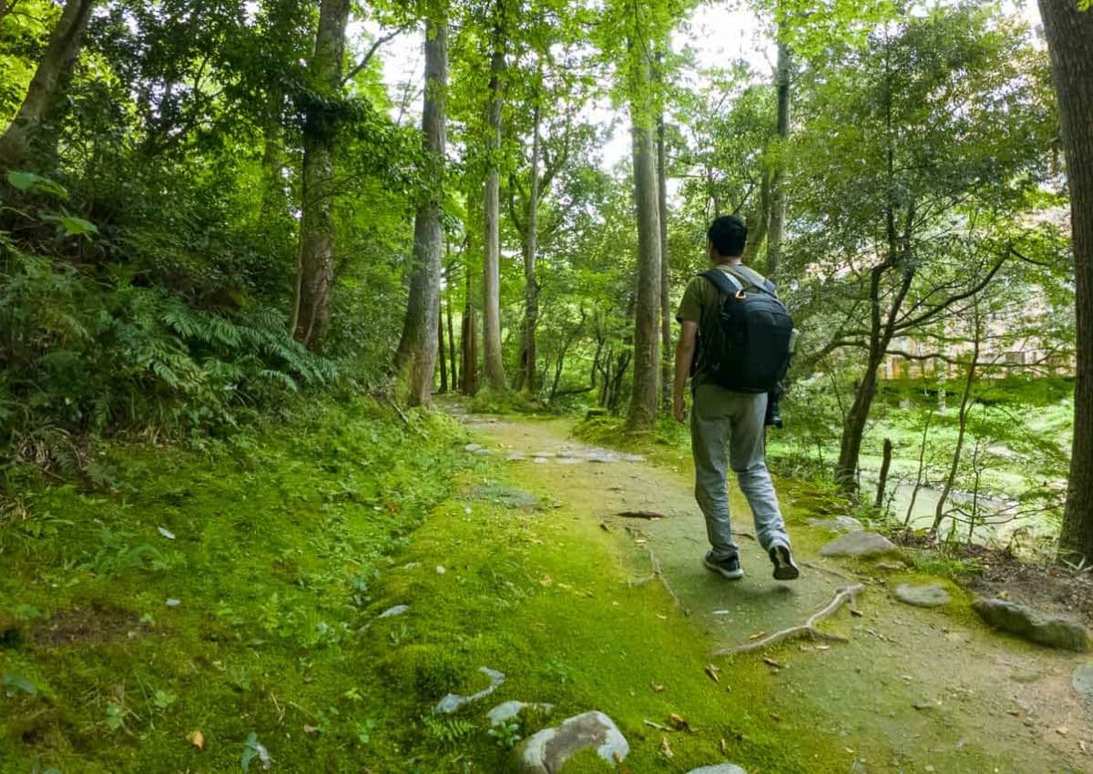Randonneur s’adonnant à un bain de forêt au Japon