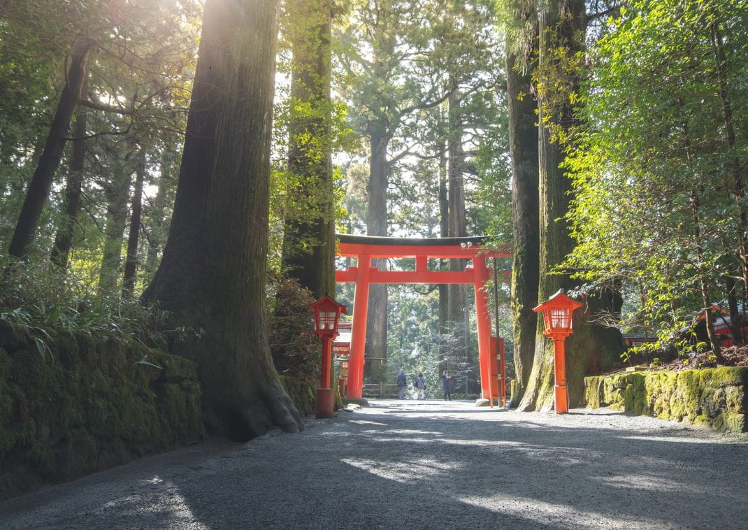 Un grand torii rouge traditionnel marque l’entrée d’un sanctuaire shintoïste, entouré de hauts arbres et de lanternes rouges, avec la lumière du soleil filtrant à travers la forêt.

