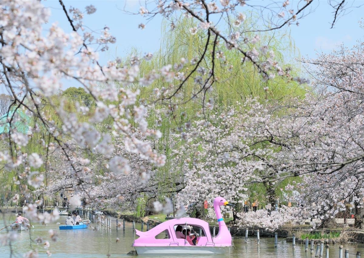 Parc d’Ueno au printemps, Tokyo, Japon