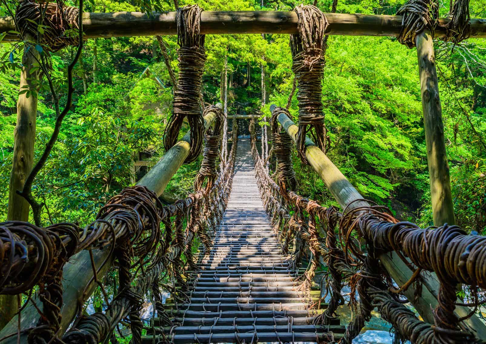 Pont en lianes de la vallée d’Iya, Tokushima, Japon