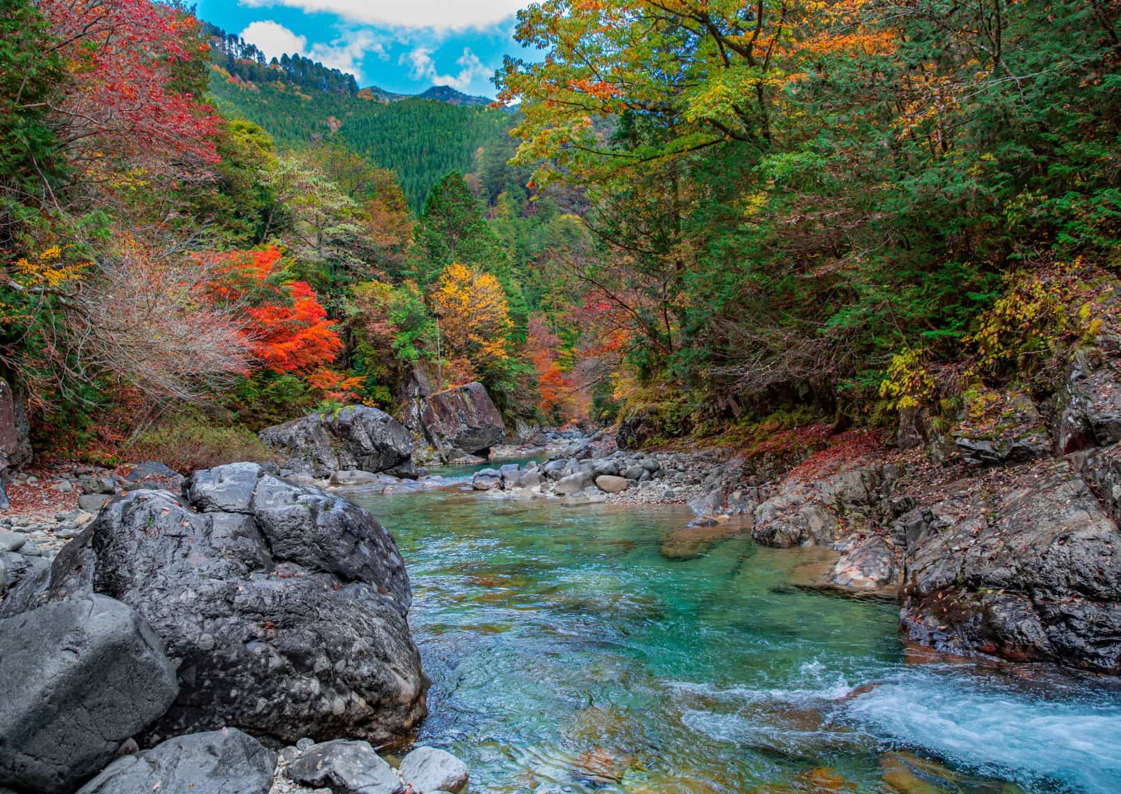  Rivière en automne, Japon
