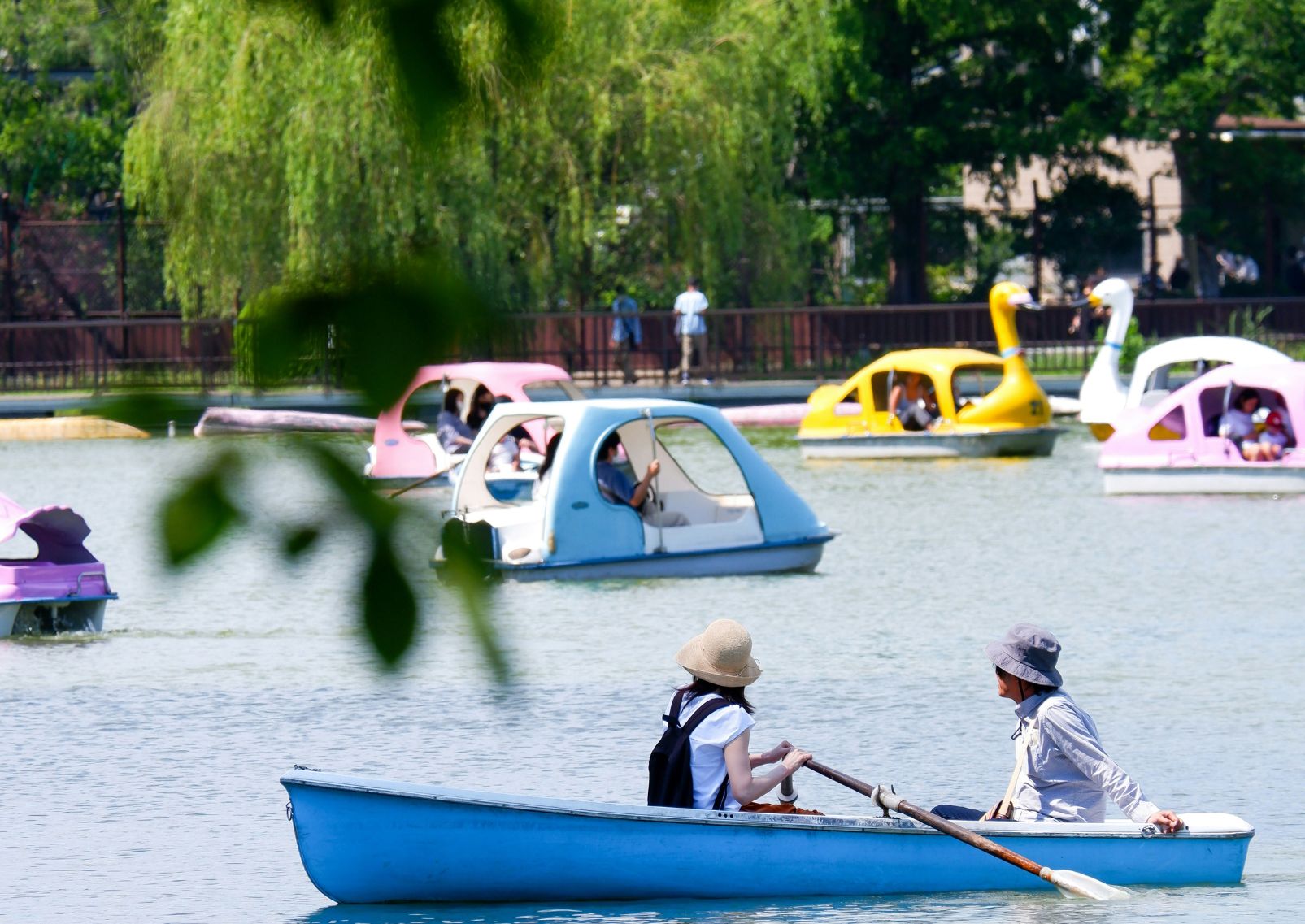 Couple-dans-une-barque-sur-le-lac-du-parc-Ueno-à-Tokyo