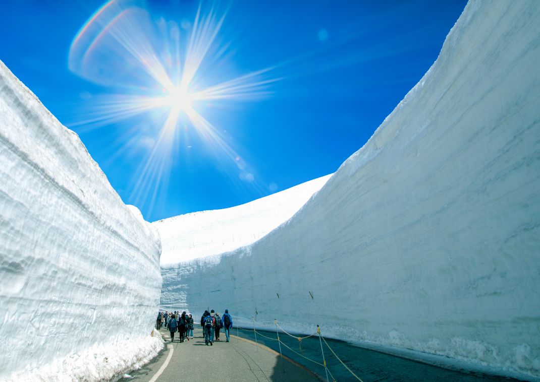  Groupe marchant entre deux gigantesques murs de neige sur la route alpine Tateyama Kurobe au Japon