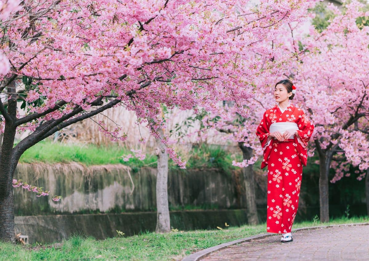 Jeune femme en kimono se promenant sous les cerisiers en fleur au Japon