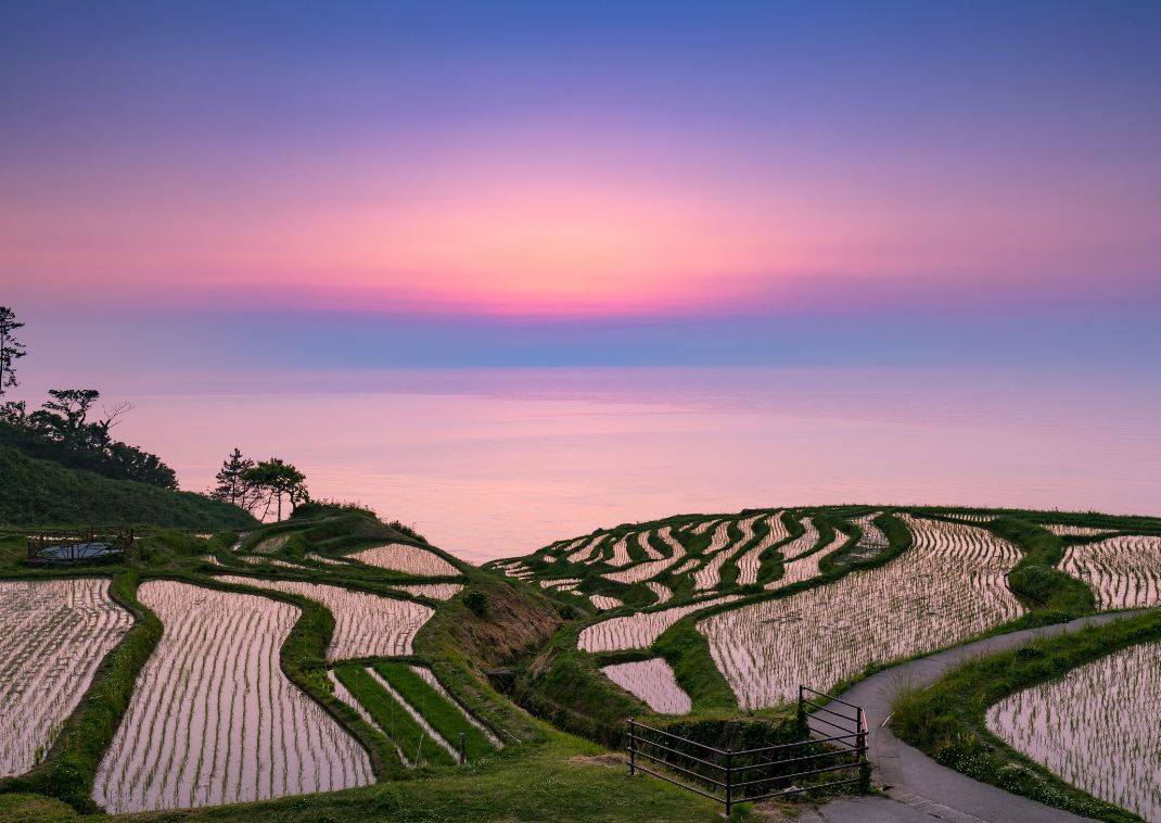 Les rizières de Shiroyone Senmaida au lever du soleil, Japon