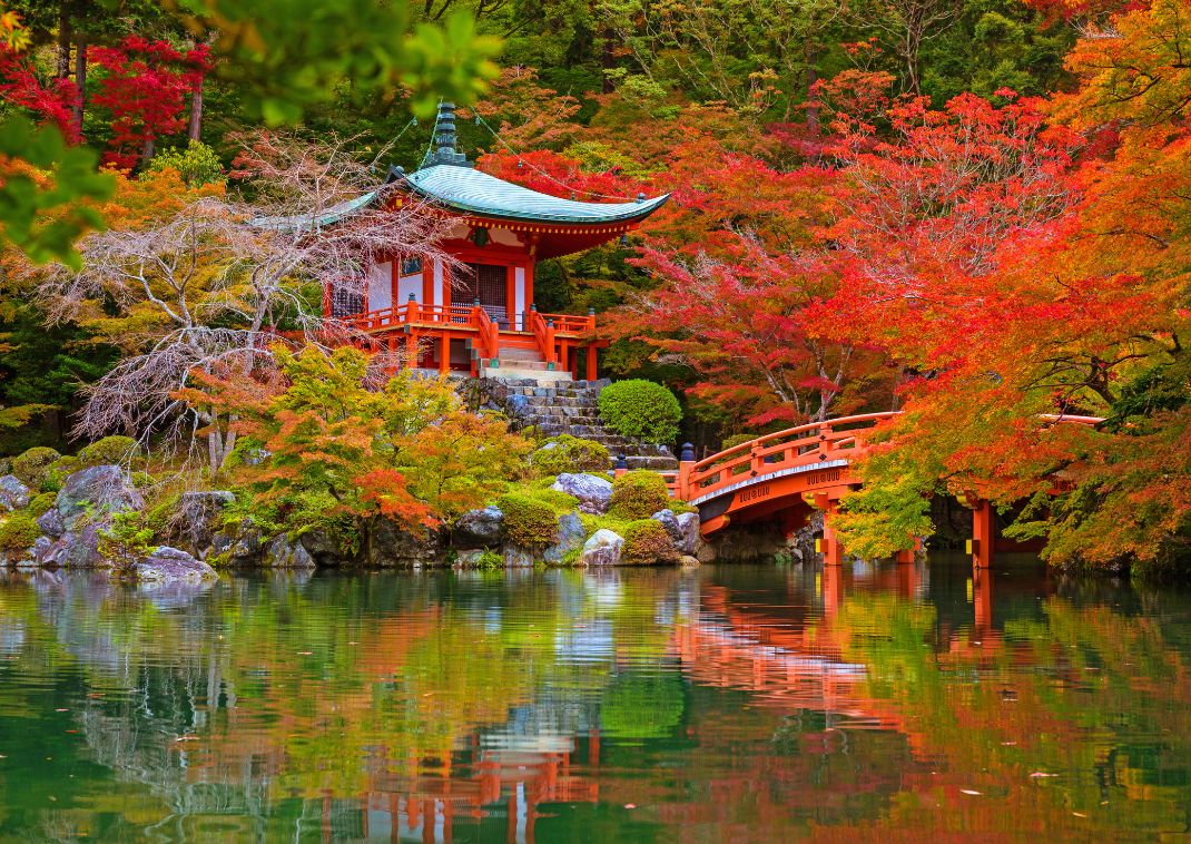 Temple Daigo-ji entouré d’érables colorés en automne, Kyoto