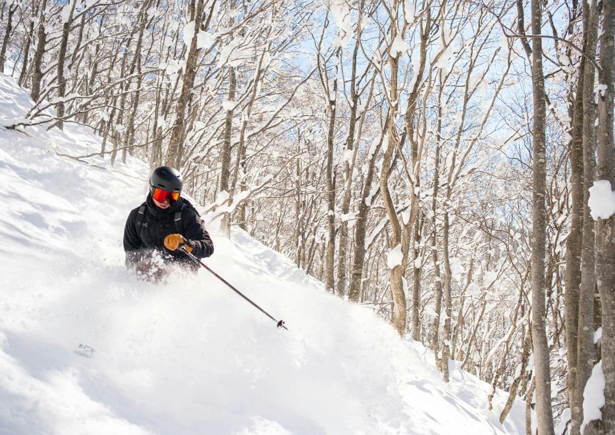 Skieur freestyle à la station de ski d’Hakuba, préfecture de Nagano, Japon