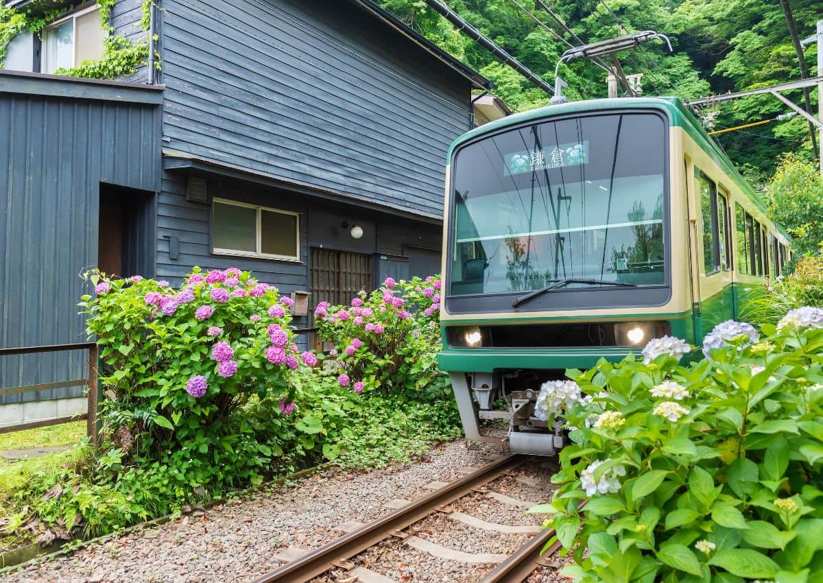 La ligne Enoden longeant les maisons de Kamakura