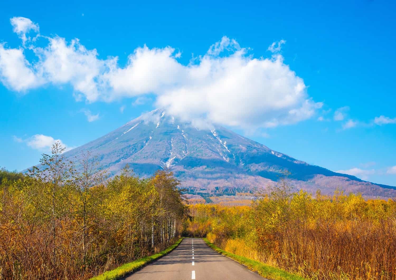 Route d’été à Niseko, Hokkaido, Japon