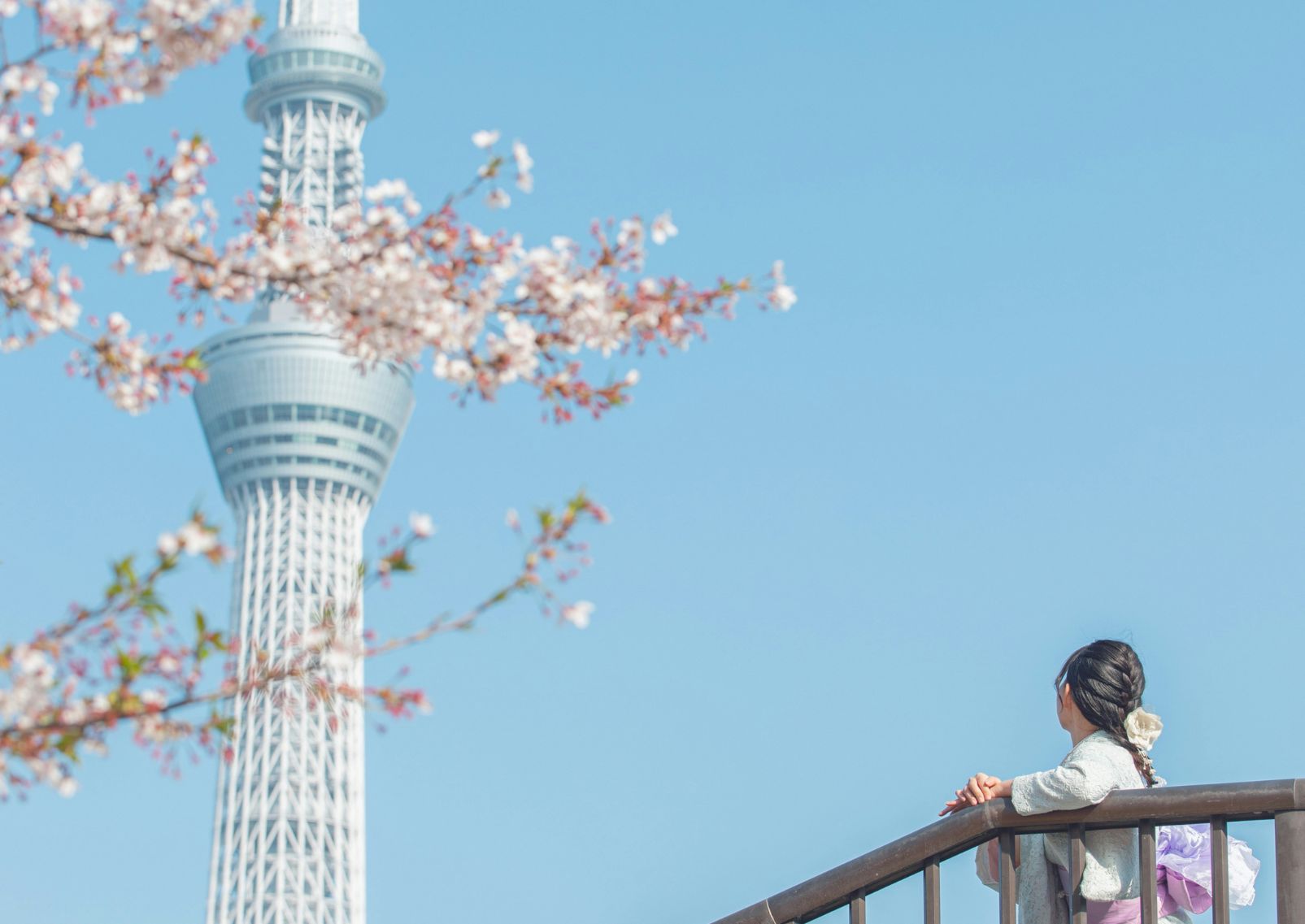 Vue-de-nuit-de-la-Tokyo-Skytree-Japon