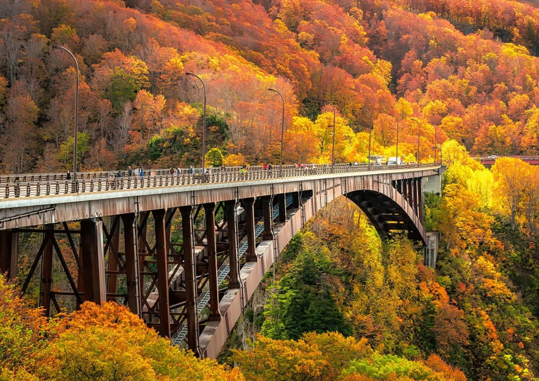 Vue aérienne d'un bateau d'excursion naviguant sur le lac Towada pendant d'automne