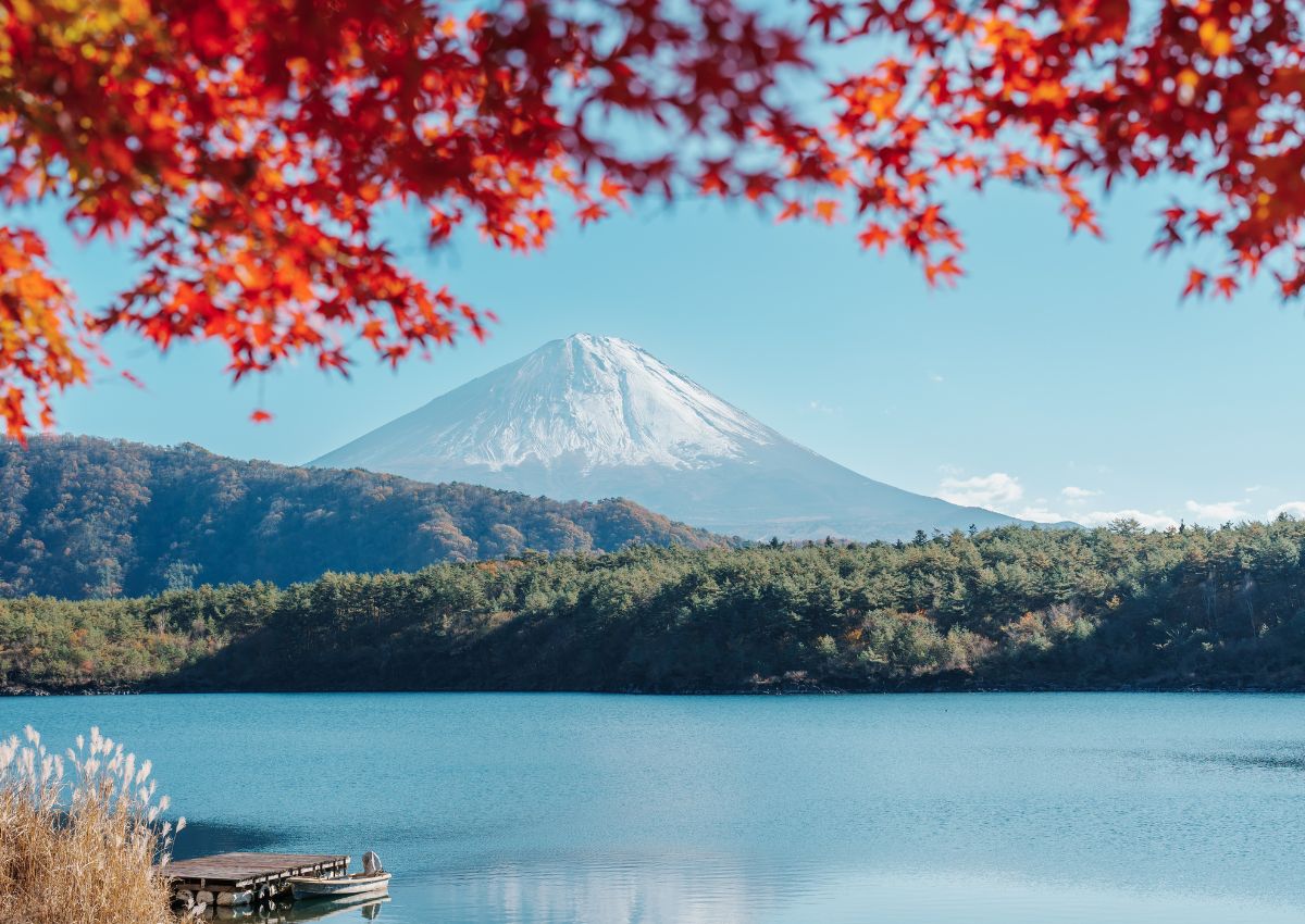 Vue du mont Fuji encadré de feuillages d’automne, Japon