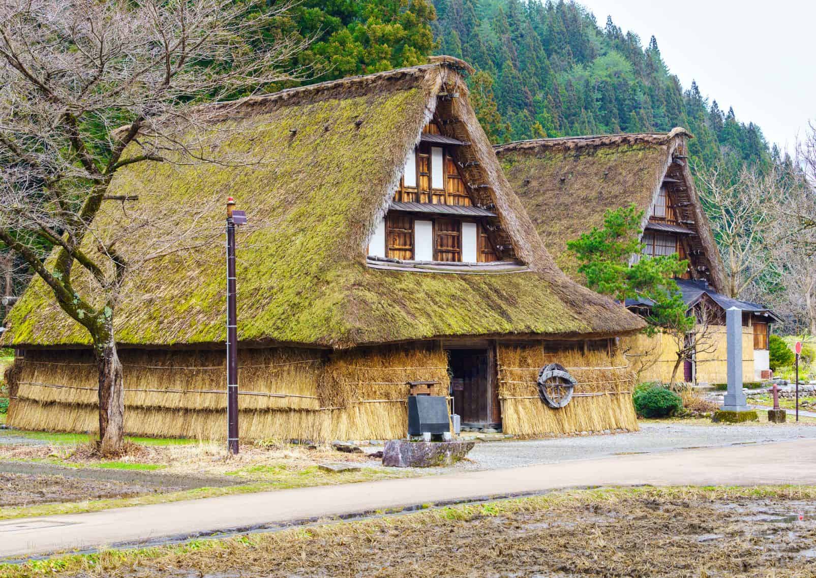 Maison traditionnelle Gassho zukiri au toit de chaume dans le village de Suganuma au Japon