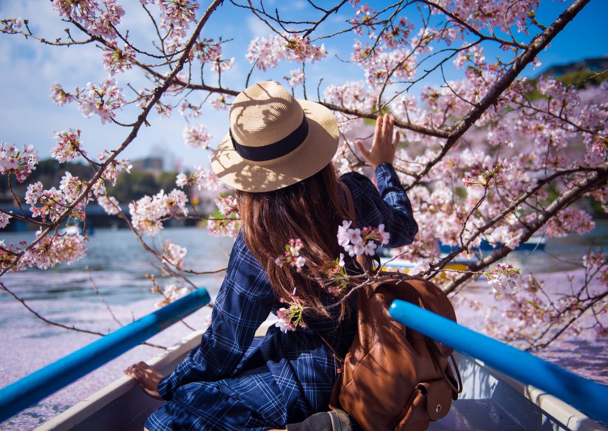 Jeune femme dans une barque sous les cerisiers en fleur du parc de Chidorigafuchi, Tokyo, Japon