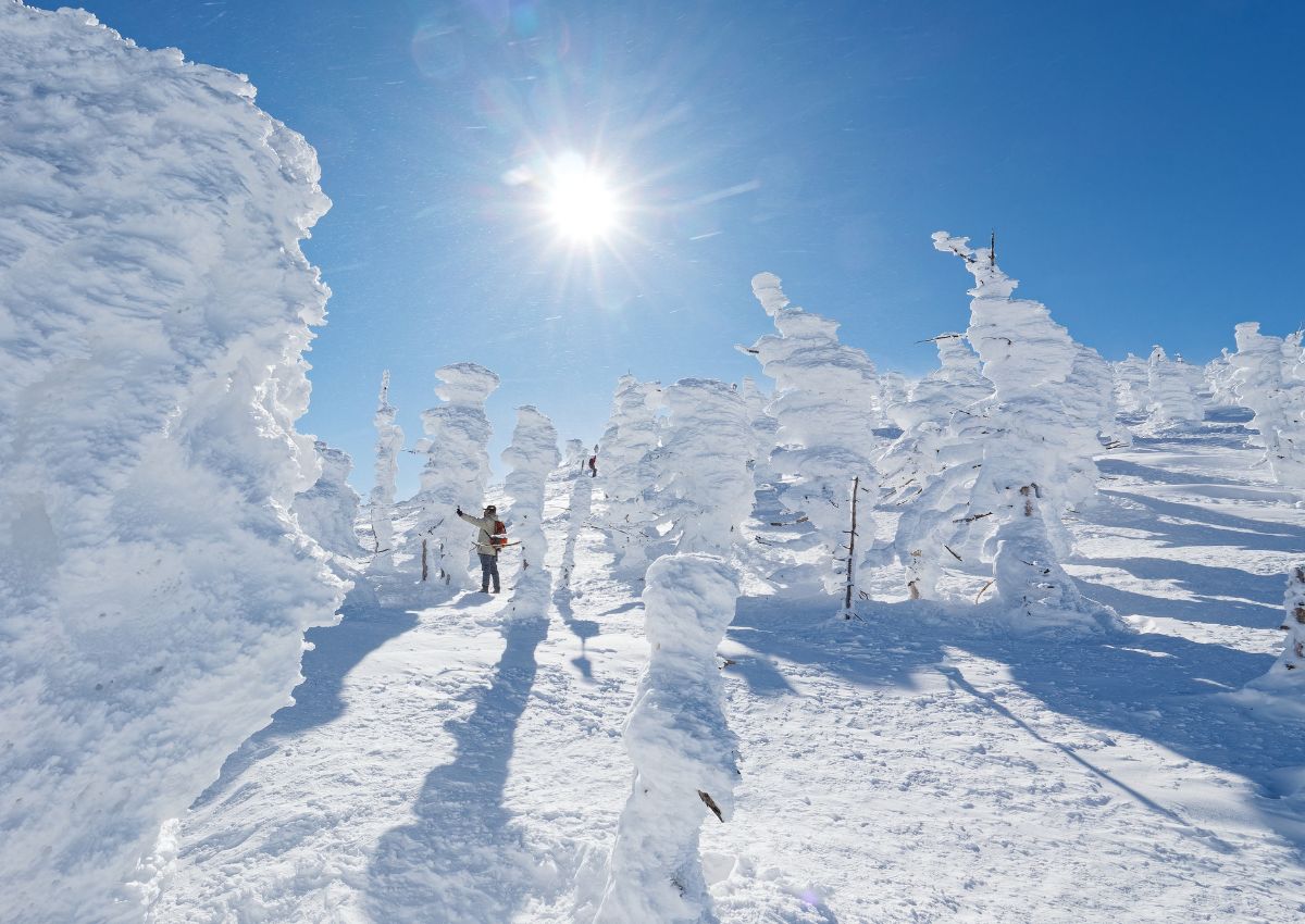 Formations de neige spectaculaires à Yamagata, Japon
