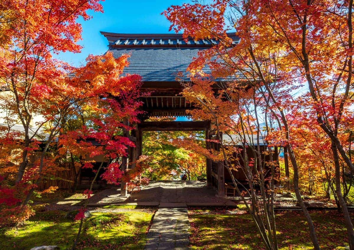 Feuilles d’automne au Japon autour d’une porte de temple