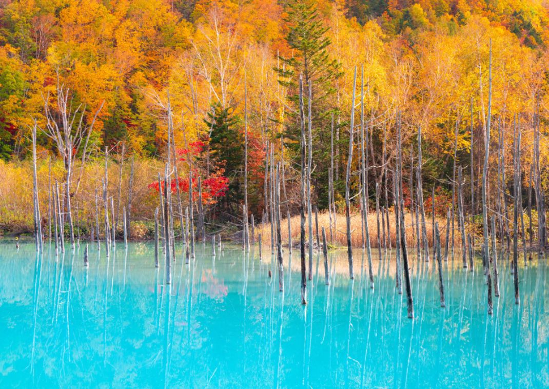 L’étang bleu d’Hokkaidō en automne, Japon
