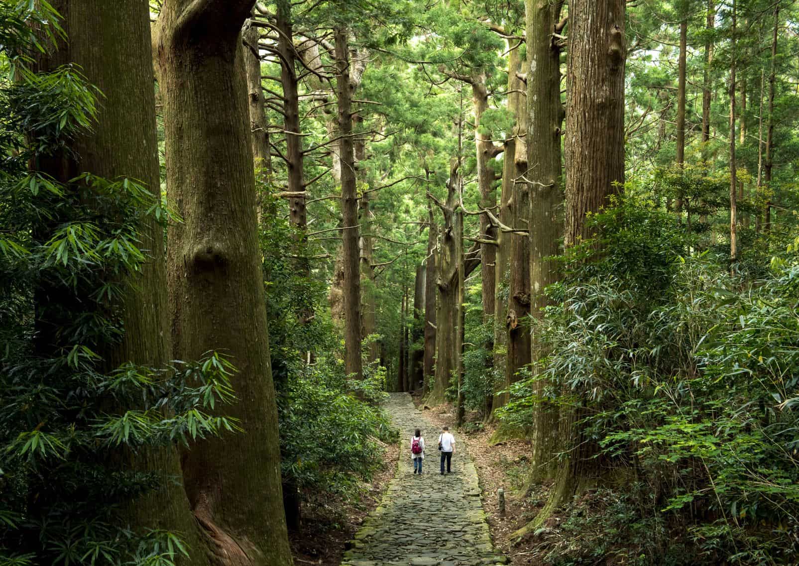 Ancien chemin de pèlerinage du Kumano Kodo, Japon
