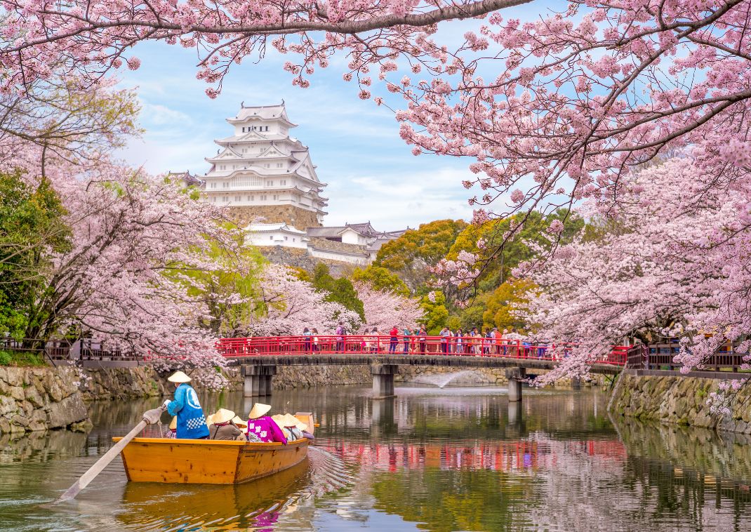 Balade en bateau dans les douves du château d’Himeji au printemps, Japon