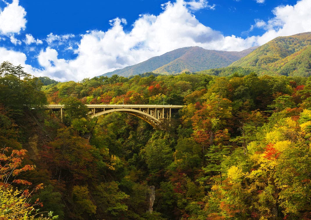 Couleurs d'automne des gorges de Naruko au Japon