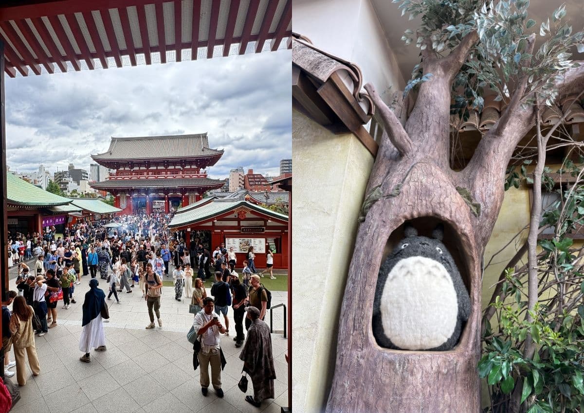 À gauche, temple Senso-ji Asakusa. À droite, figurine de Totoro, personnage Ghibli, dans un tronc d'arbre.
