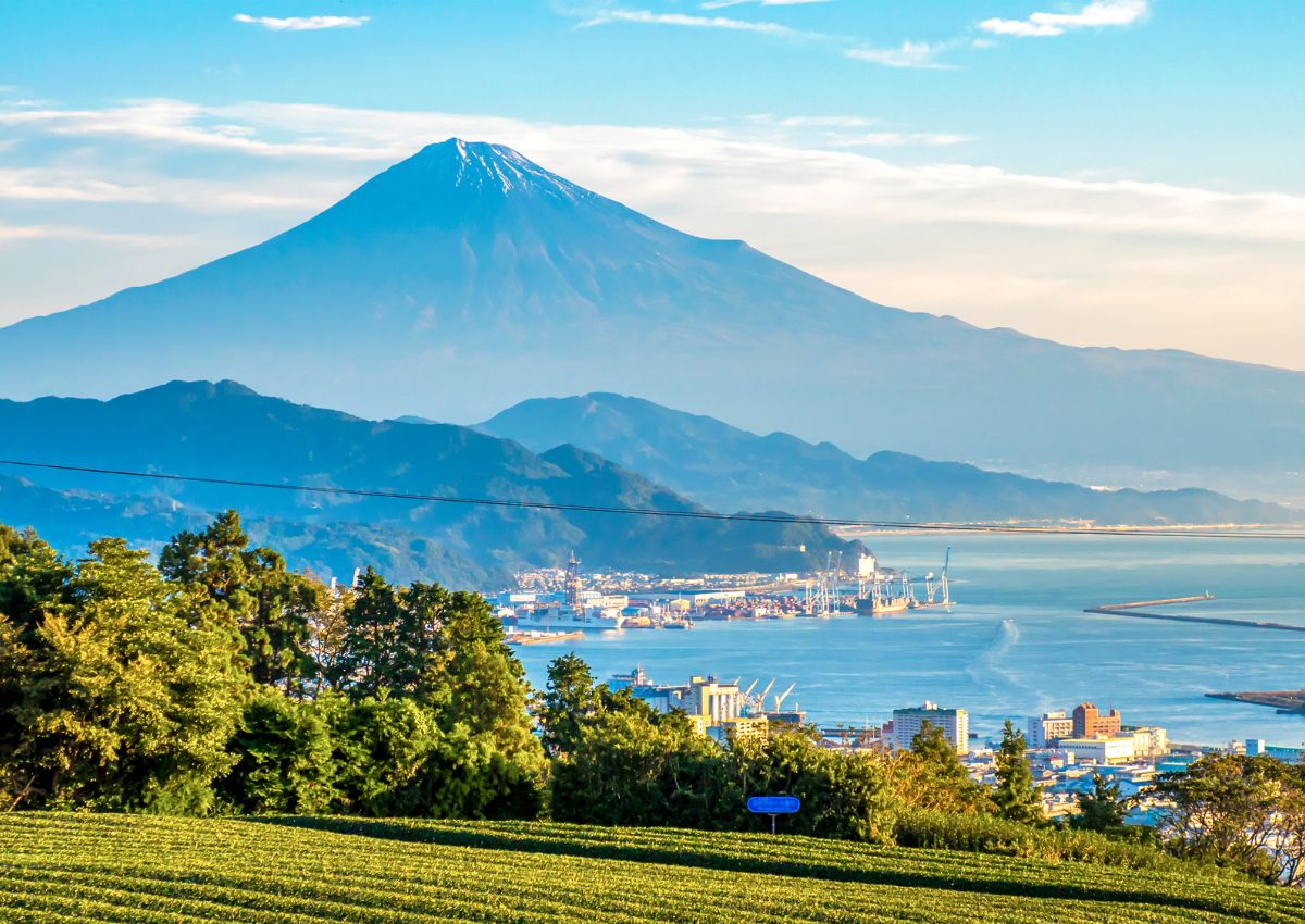 Vue sur le mont Fuji et les plantations de thé, Shizuoka, Japon