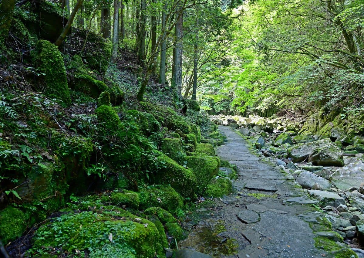 Sentier de randonnée d'Akame, Mie, Japon