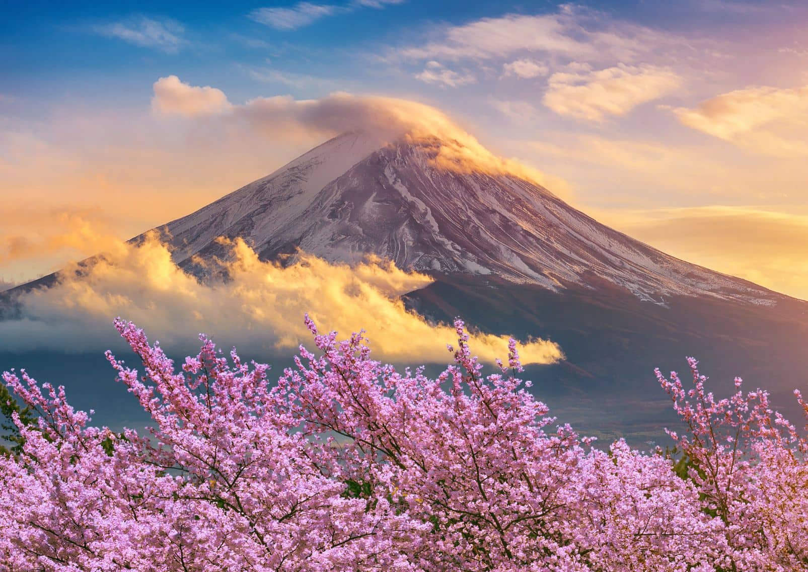 Mont Fuji et cerisiers en fleurs au printemps, Japon