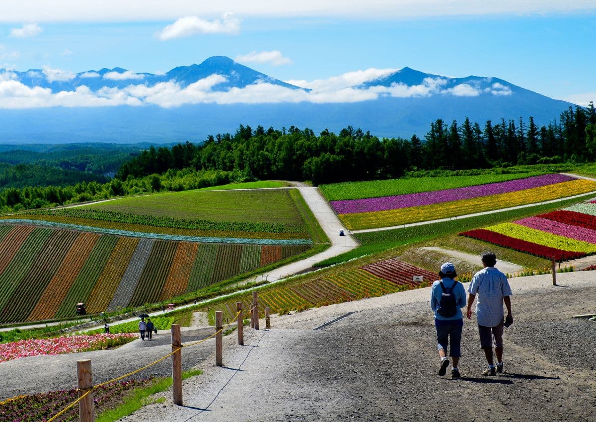 Couple de séniors marchant dans des champs de fleurs à Hokkaido, Japon