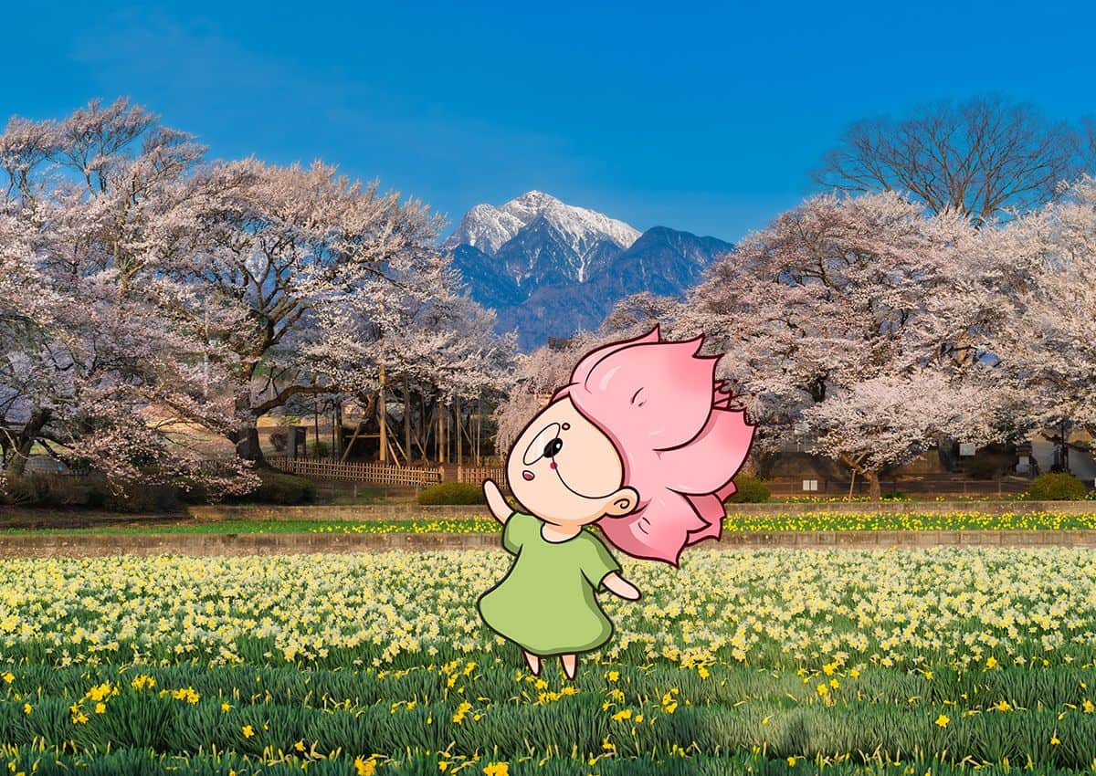 Mono-chan pointant du doigt un cerisier dans la préfecture de Yamanashi au Japon
