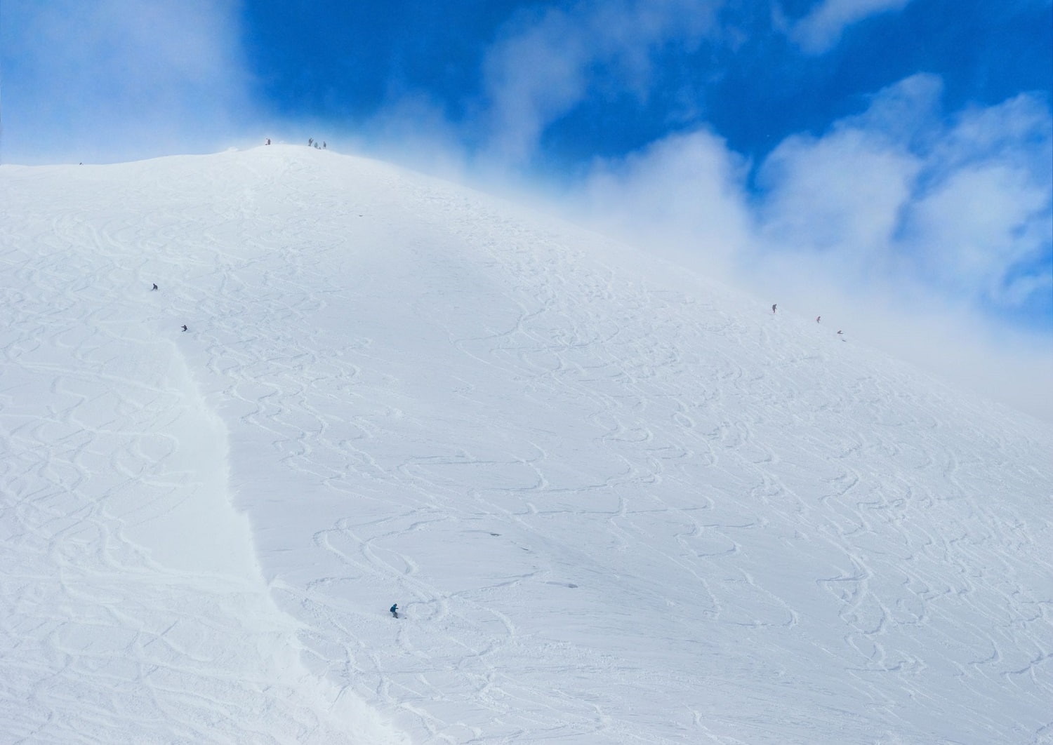 Ski sur poudreuse à Niseko, Hokkaido, Japon