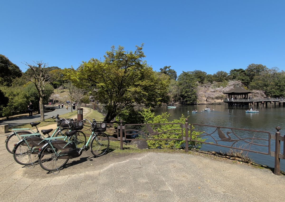 Vélos de location déposés devant le pavillon Ukimido, dans le parc de Nara au printemps, Japon
