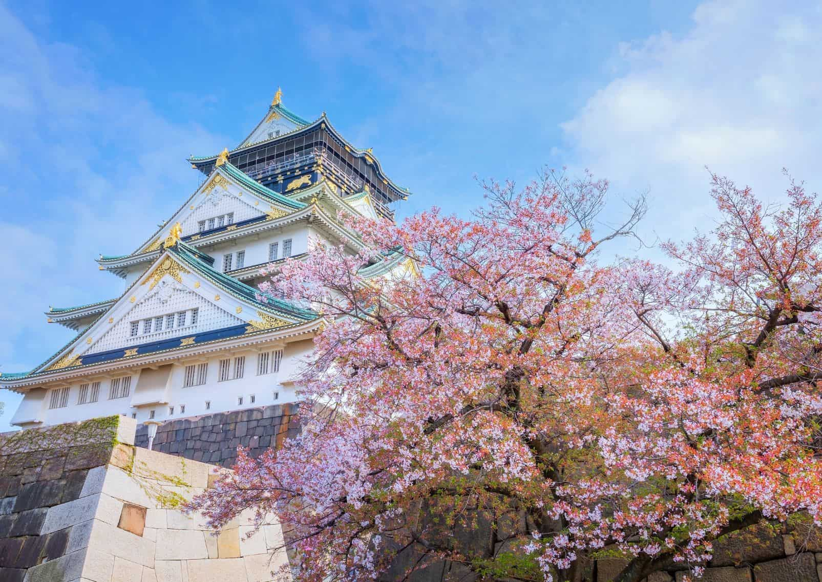 Le-château-d-Osaka-encadré-par-des-cerisiers-en-fleur-par-beau-temps