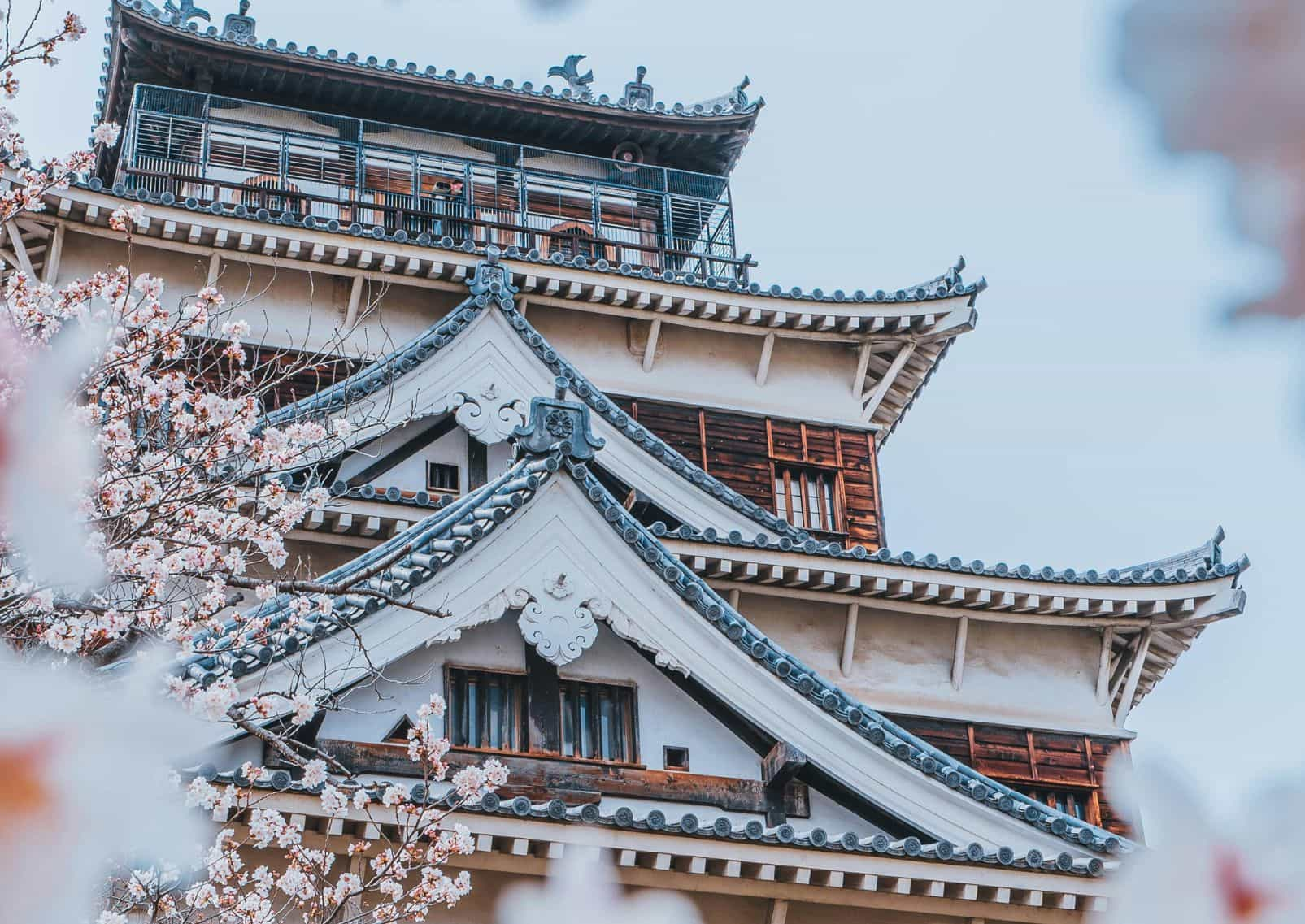 Château-d-Hiroshima-derrière-des-cerisiers-en-fleur-Japon