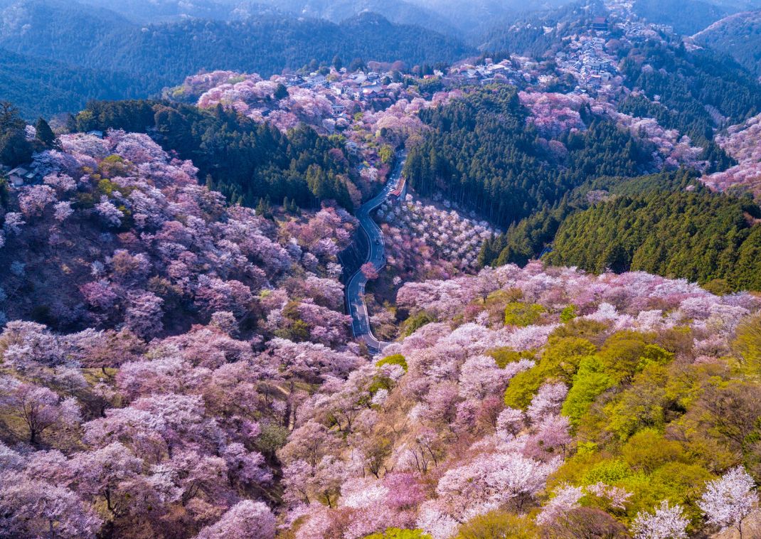 Mont Yoshino, Japon